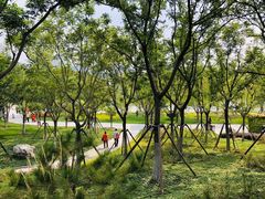 -西海子公园