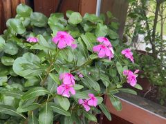 -小茶闲舍·观景商务茶馆(广州塔店)