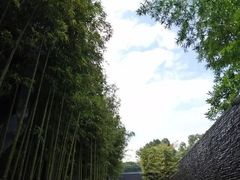 -明谷行馆·温泉