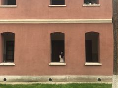 -浙江省杭州高级中学(贡院校区)