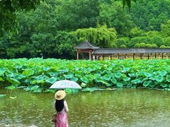 -龙头寺公园