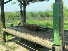 -西安秦岭野生动物园