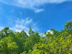 -白沙门生态公园