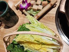 有机田园杂菜拼-椰夫人·养生椰子鸡(金沙洲永旺店)