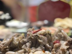 -销魂美蛙鱼头火锅(上海首店)