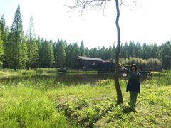 -黄海国家森林公园