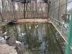 -沈阳鸟岛