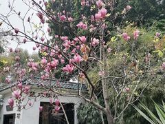 -晓港公园