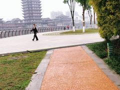 -眉山湿地公园(东坡区)