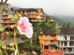 -龙脊梯田