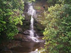 -燕子河大峡谷天坑仙境