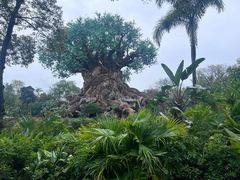 -奥兰多迪士尼动物王国乐园