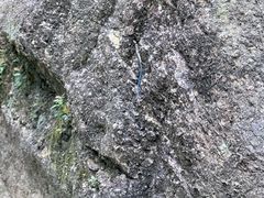 -天台山琼台仙谷景区
