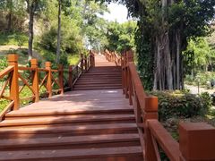 -深圳国际园林花卉博览园