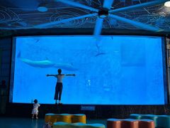 -海合安成都极地海洋公园
