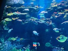 -暹罗海洋世界