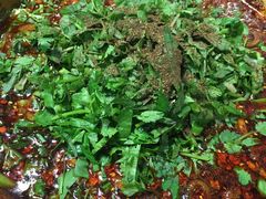 -乐山第一家临江鳝丝(茶坊路店)