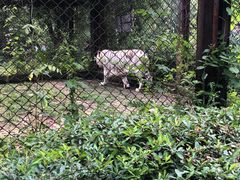 -合肥野生动物园