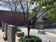 -中心庙