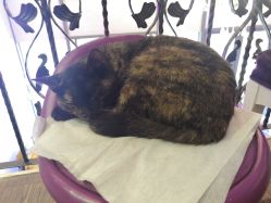 -RL Nail·瑞丽美甲美睫品牌原创店