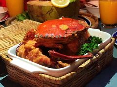 -茉莉.Red Crab