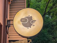-WHEN PIGS FLY当猪飞