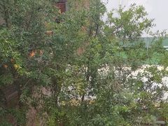 -羊门客在·烤盐池滩羊·川菜