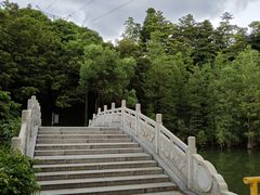 -广州市帽峰山景区