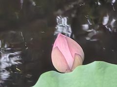 -烈士陵园(地铁站)