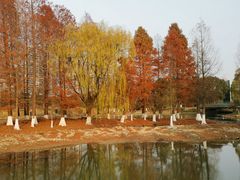 -白塘生态植物园