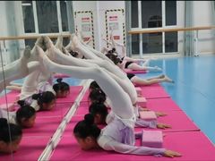 -西安小天鹅艺术团(曲江Alice店)