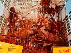 -南纪白浜Toretore市场