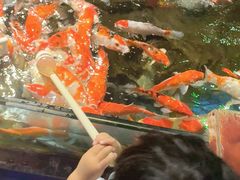 -太平洋海底世界