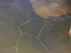 -溧阳天目湖天沐温泉