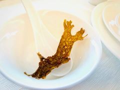 -阿斯牛牛·凉山菜(新会展店)
