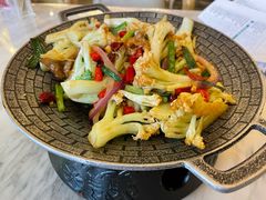 -陈麻婆豆腐总店