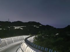 -福道