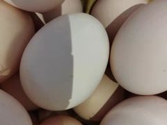 -老阿爸江浙土菜(奥体中心店)