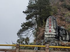 -百色大石围天坑群