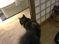 -小时光咖啡馆(开森度假森林店)