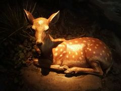 -嘉定博物馆