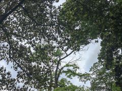 -宝石山