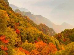 -少华山国家森林公园
