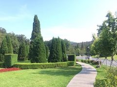 -棒棰岛宾馆景区