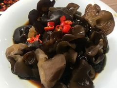 凉拌木耳-探窝·竹笙椰子鸡(杨箕店)