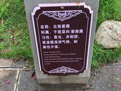 -大理文庙(大理古城)