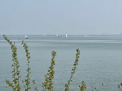 -上海美帆帆船露营基地