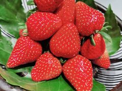 -悦秀·高级粤菜