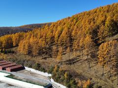 -塞罕坝国家级自然保护区