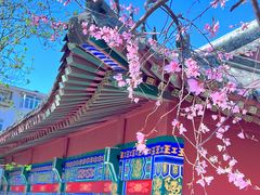 -桃花堤公园